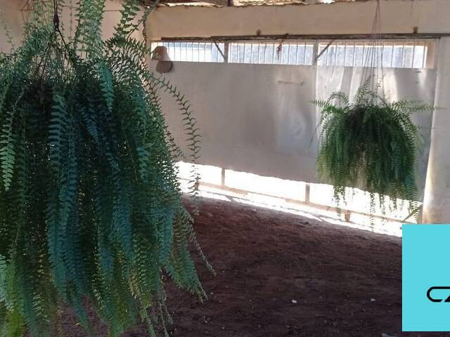 Área para Venda em Paranaguá - 1